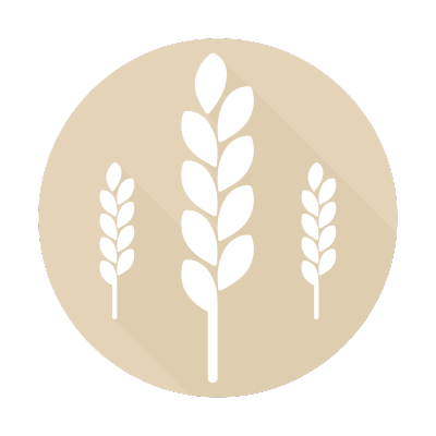 Gluten